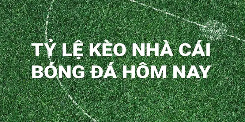 Dấu hiệu Cách phân tích tỷ lệ kèo bóng đá hiệu quả