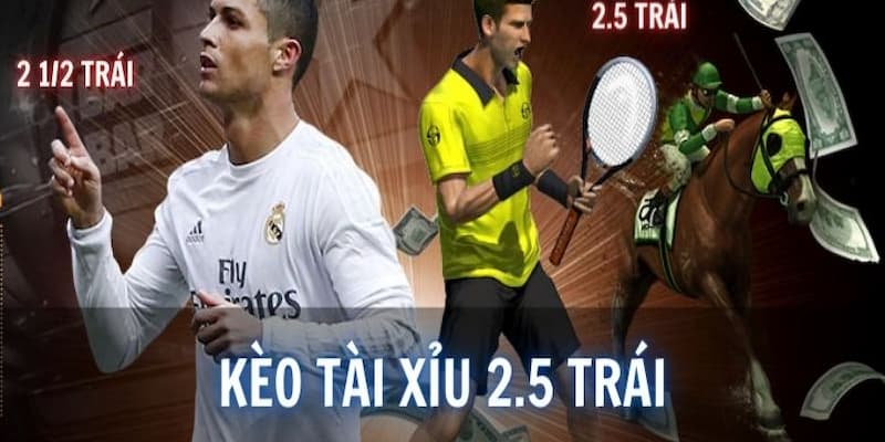 Kèo tài xỉu 2.5 nghĩa là gì Hiểu rõ bản chất kèo tài xỉu 2.5 nghĩa là gì?