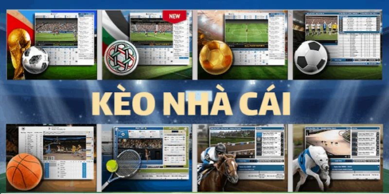 Mẹo trong hướng dẫn đọc kèo nhà cái hiệu quả