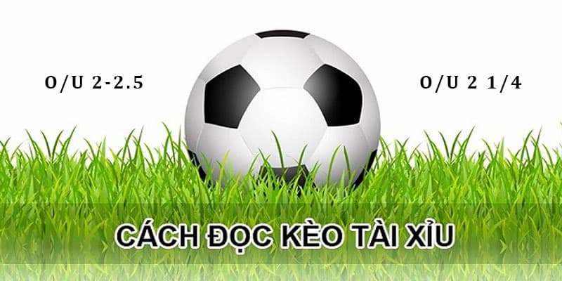 Kèo tài xỉu 2.5 nghĩa là gì Những sai lầm cần tránh khi chơi kèo tài xỉu 2.5