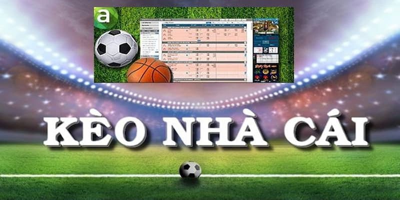 Nhà cái nào phù hợp cho người mới bắt đầu Tặng thưởng đăng ký lần đầu