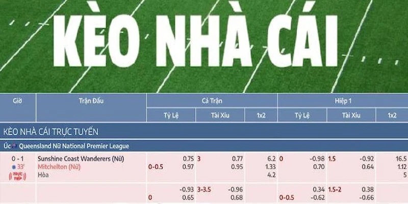 hướng dẫn đọc kèo nhà cái Tổng quan về hướng dẫn đọc kèo nhà cái