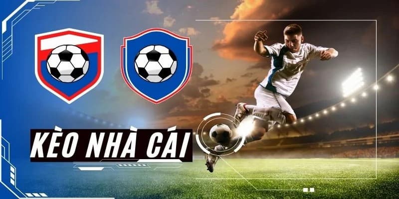 Nhà cái có tỷ lệ kèo tốt Vai trò của nhà cái có tỷ lệ kèo tốt