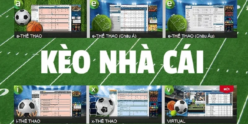 hướng dẫn đọc kèo nhà cái Vì sao cần biết hướng dẫn đọc kèo nhà cái?