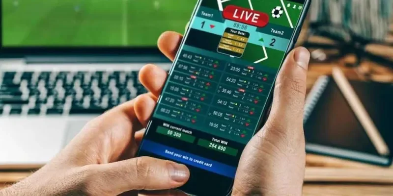 Yếu tố cần lưu ý khi so sánh kèo
